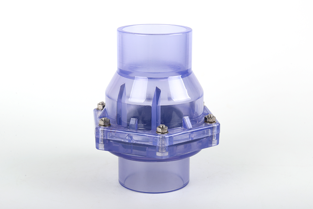 全椒透明翻板式止回阀